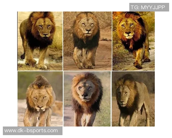 足球场上的坏男孩：从流氓球星到传奇人物的转变与挑战